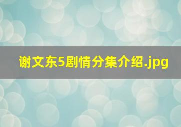 谢文东5剧情分集介绍