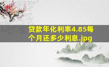 贷款年化利率4.85每个月还多少利息