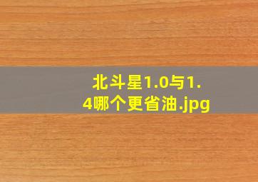 北斗星1.0与1.4哪个更省油