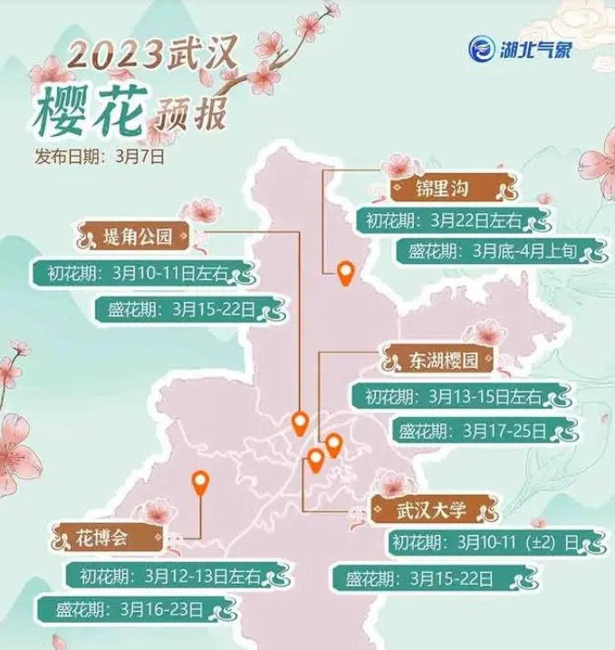 2023年武汉樱花花期预报最新出炉（花期预报攻略）