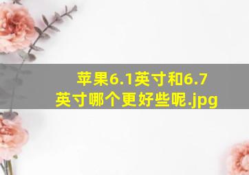 苹果6.1英寸和6.7英寸哪个更好些呢