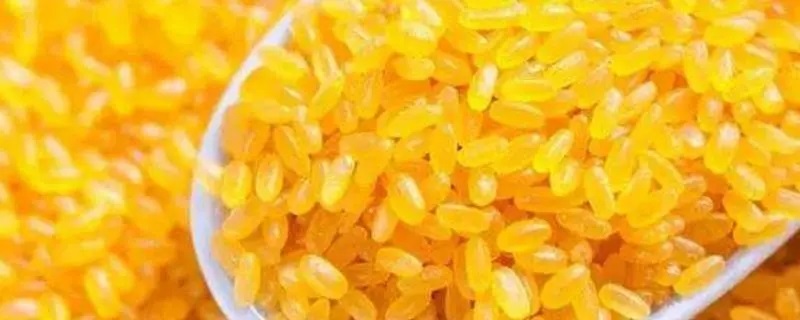 黄颜色的大米是啥米