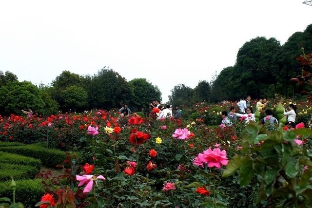 中山好玩的地方（中山这18个景点来此旅游不容错过）