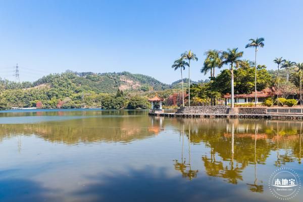 深圳仙湖植物园春节收门票吗