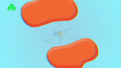 上海教育电视台公共安全课堂户外活动篇直播时间+直播入口