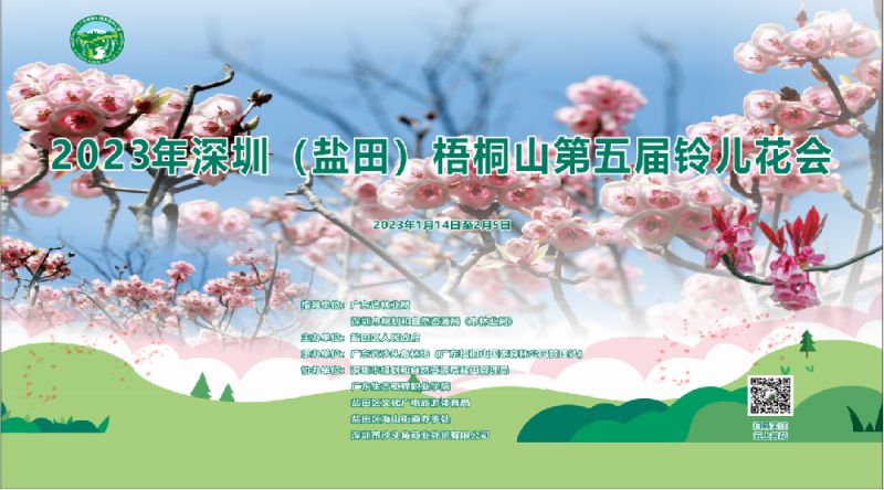 2023深圳盐田梧桐山铃儿花会赏花推荐