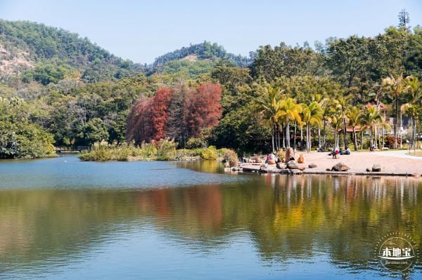 深圳仙湖植物园春节门票可以现场买吗