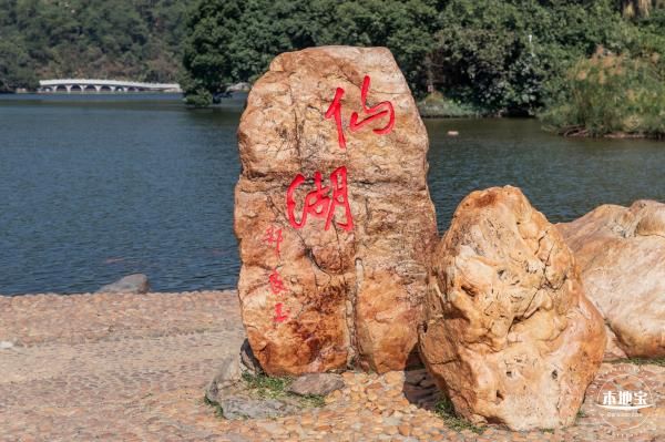 深圳仙湖植物园大年初一开放吗