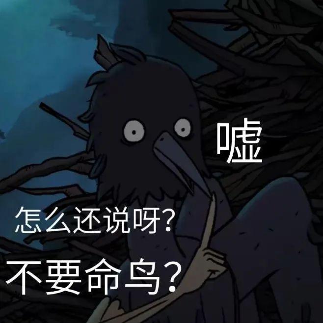 大规模冲突！直接驱逐！雄鹿，怎么又是你！