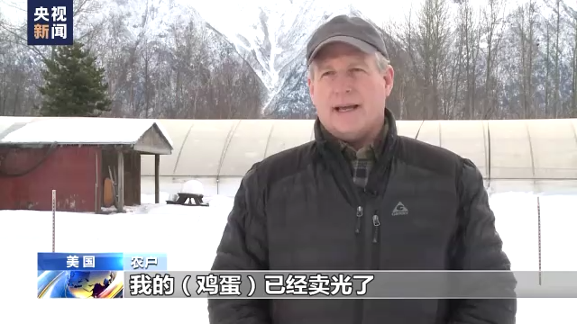 禽流感致鸡蛋价格大涨 美国商家叫苦不迭