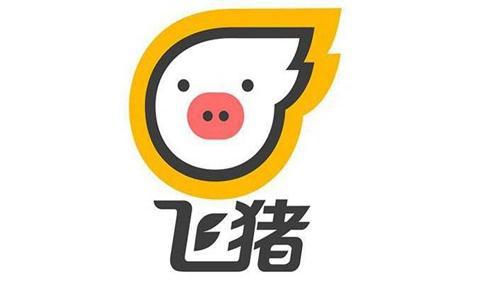 飞猪:春节期间出境机票预订人次同比增长超4倍