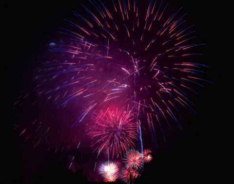 2023重庆南湖多彩植物园元宵节活动攻略（门票+表演时间）