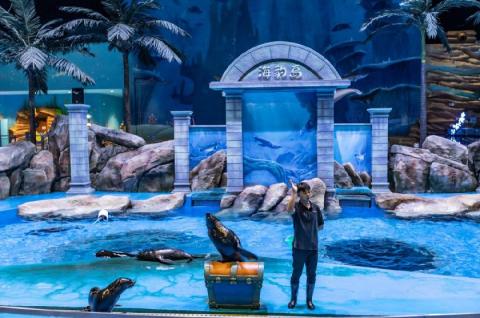 2023重庆融创海世界元宵节门票优惠及活动攻略