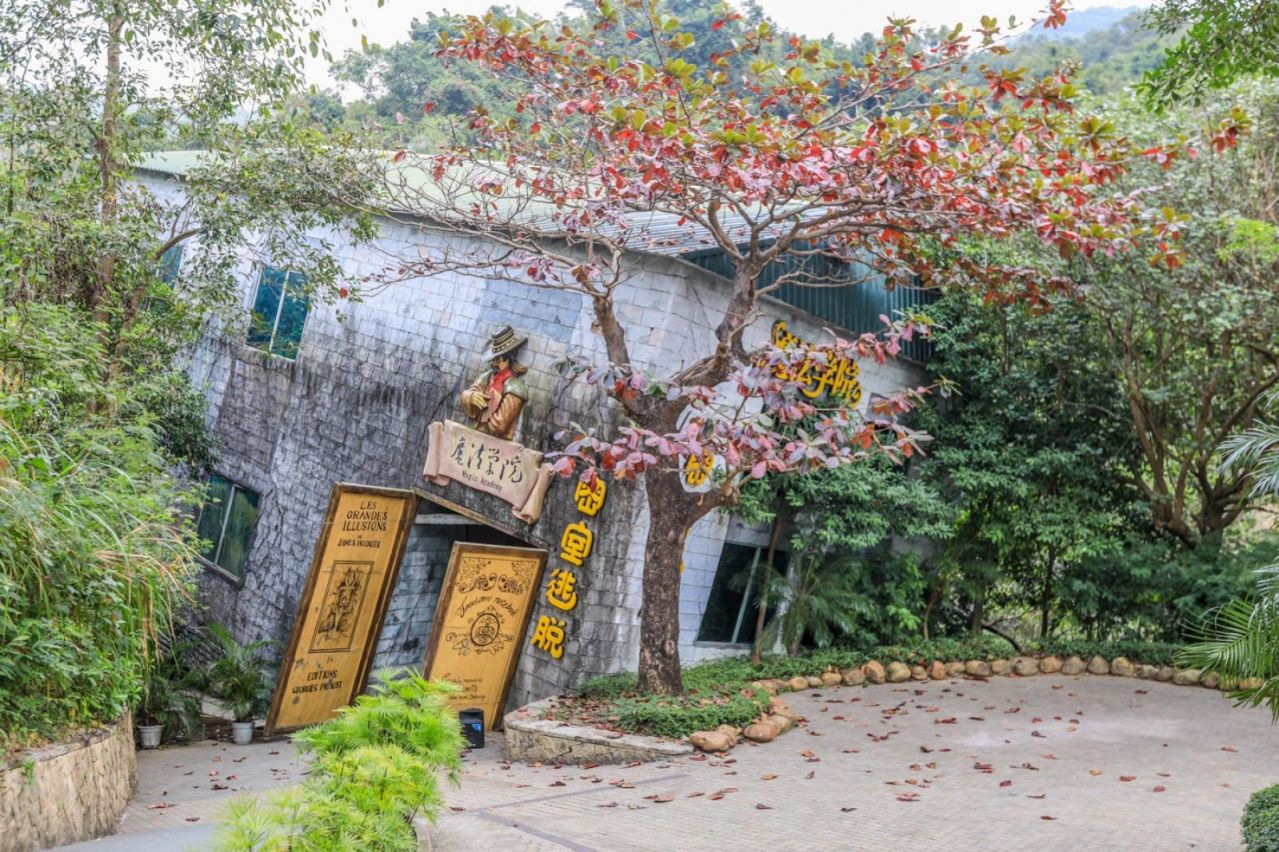 2023深圳东部华侨城元宵节游玩推荐(踏青+赏花+门票福利)